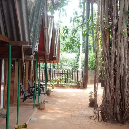 Cool Banyan Cabana Trincomalee Exterior photo