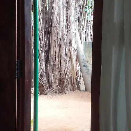 Cool Banyan Cabana Trincomalee Exterior photo