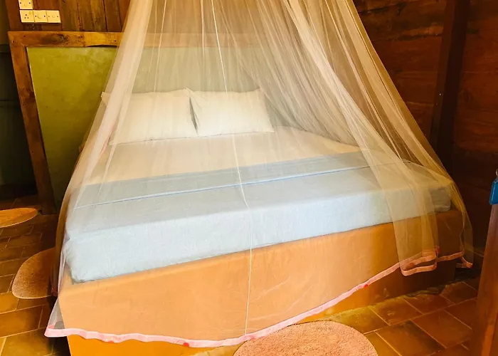 Cool Banyan Cabana