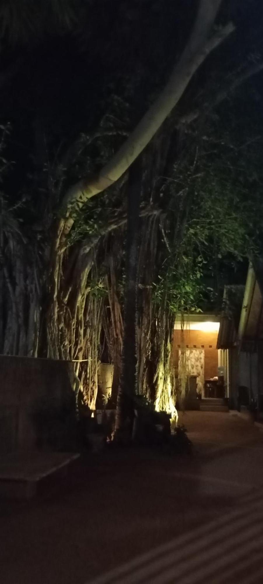 Hotel Cool Banyan Trincomalee