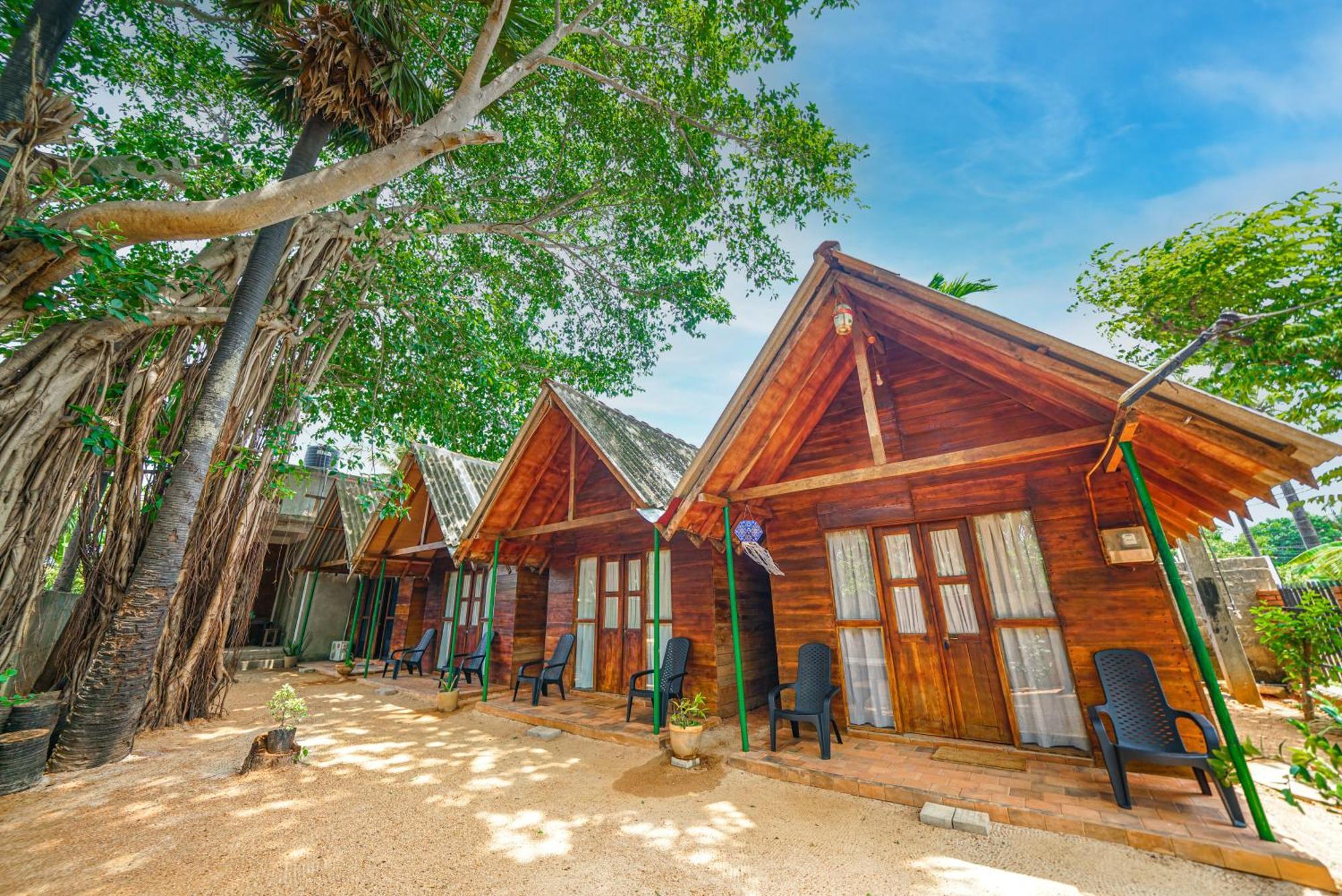 Cool Banyan
